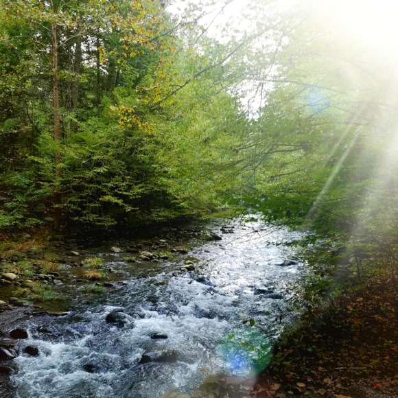 sundancehollow
